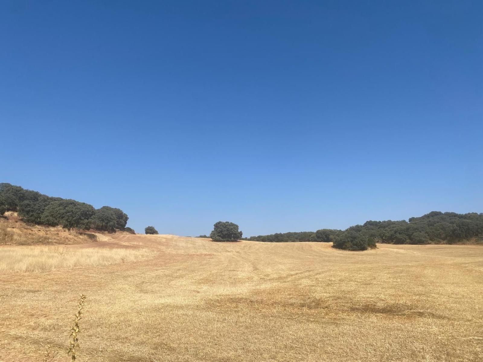 Casa Rural El Contarin - An Andalusian Escape, Archidona, Malaga Exteriör bild