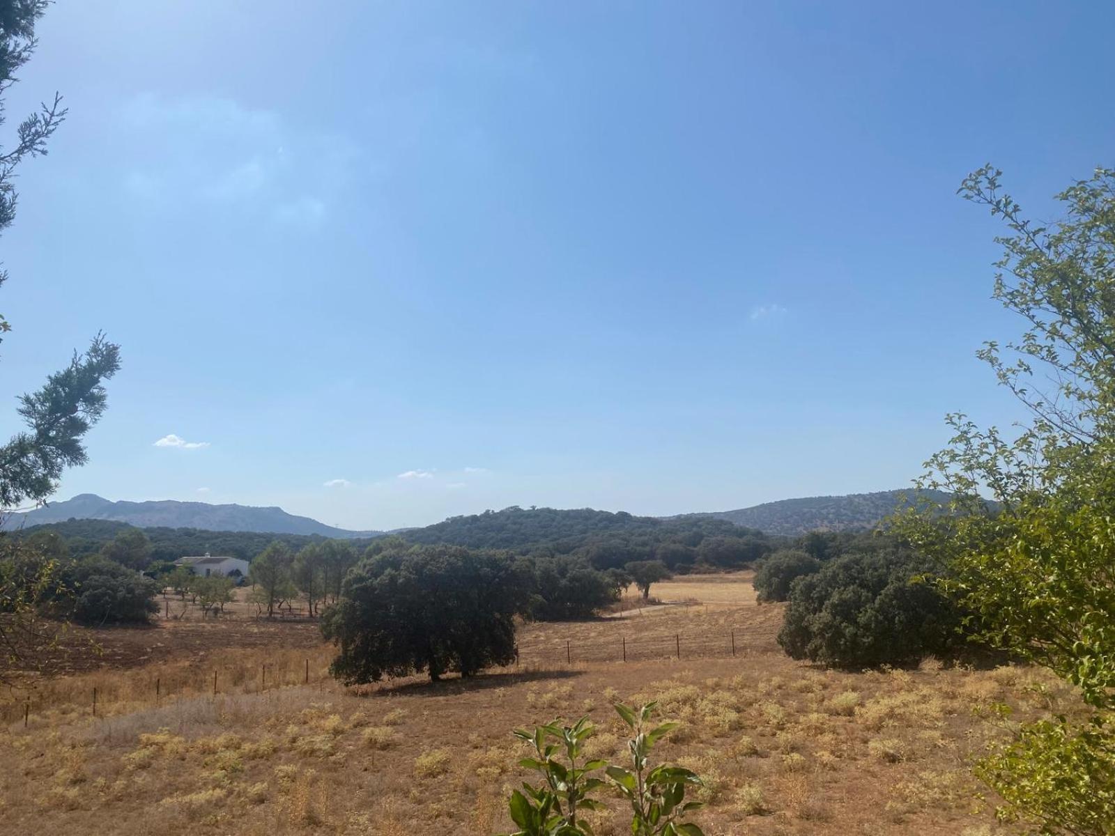 Casa Rural El Contarin - An Andalusian Escape, Archidona, Malaga Exteriör bild
