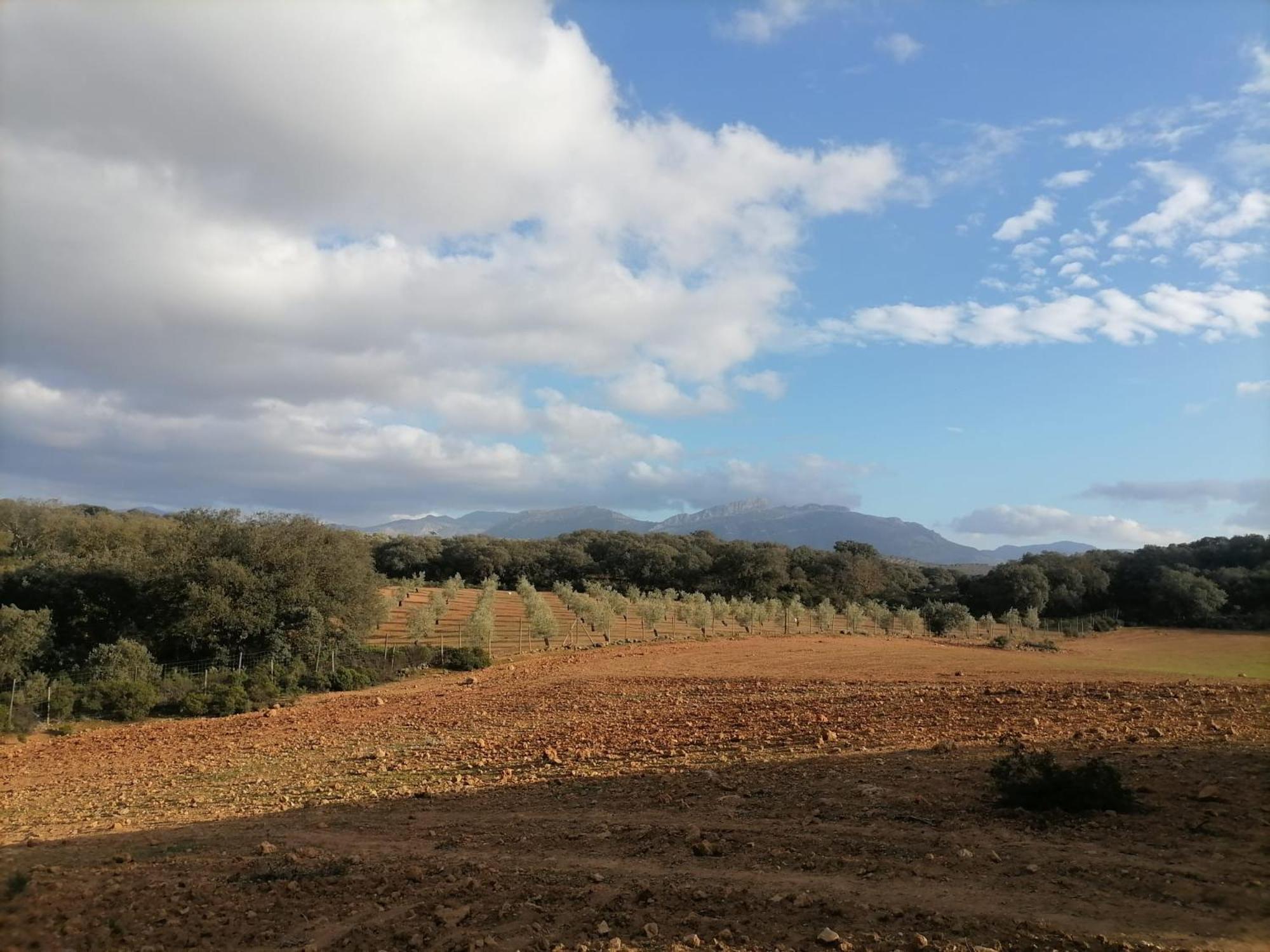 Casa Rural El Contarin - An Andalusian Escape, Archidona, Malaga Exteriör bild